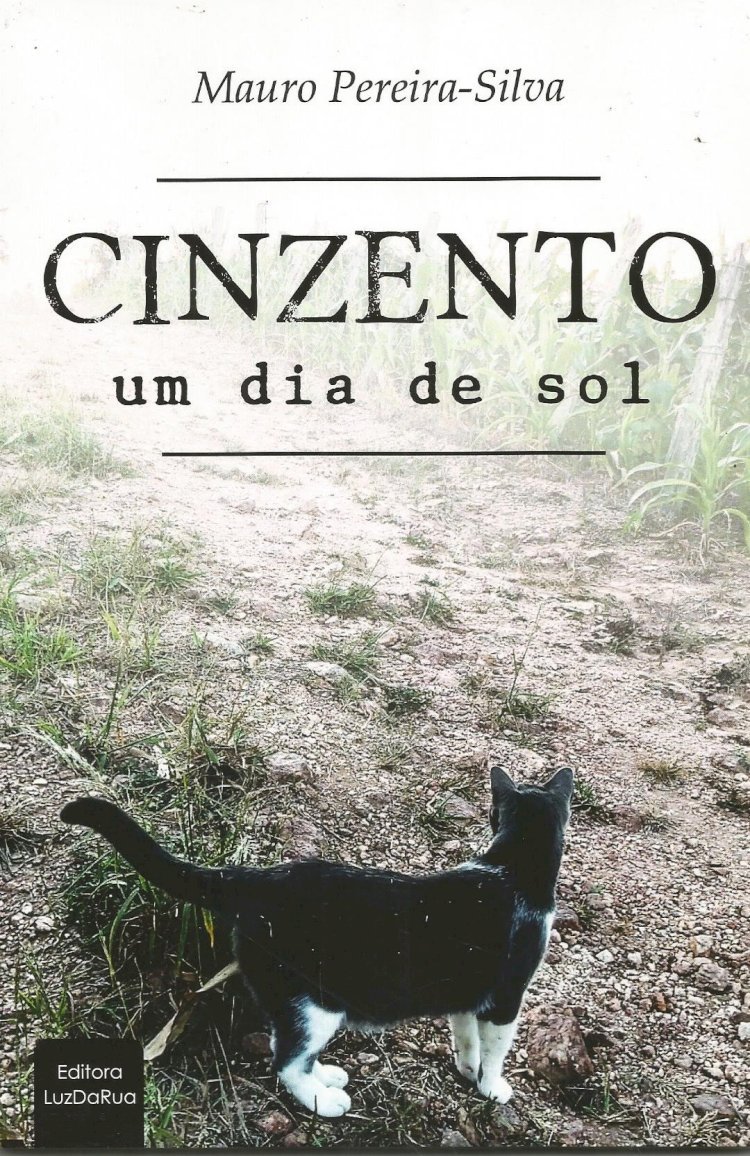 Cinzento Um dia de Sol: a história de um gato resgatado das ruas