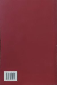 Nada é Por Acaso, Zibia Gasparetto, Ditado por Lucius